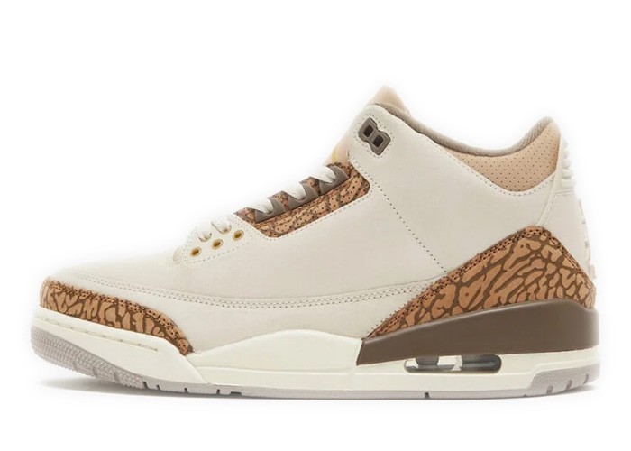 Air Jordan 3 Retro &quotPalomino" CT8532-102